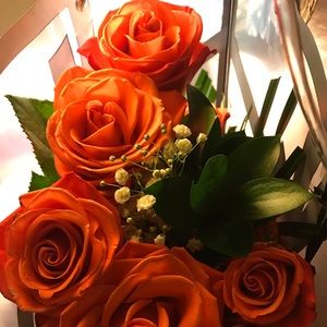 Meet your Posher, Karley